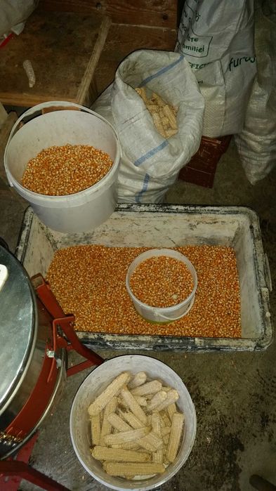 desfacatoare de porumb batoza