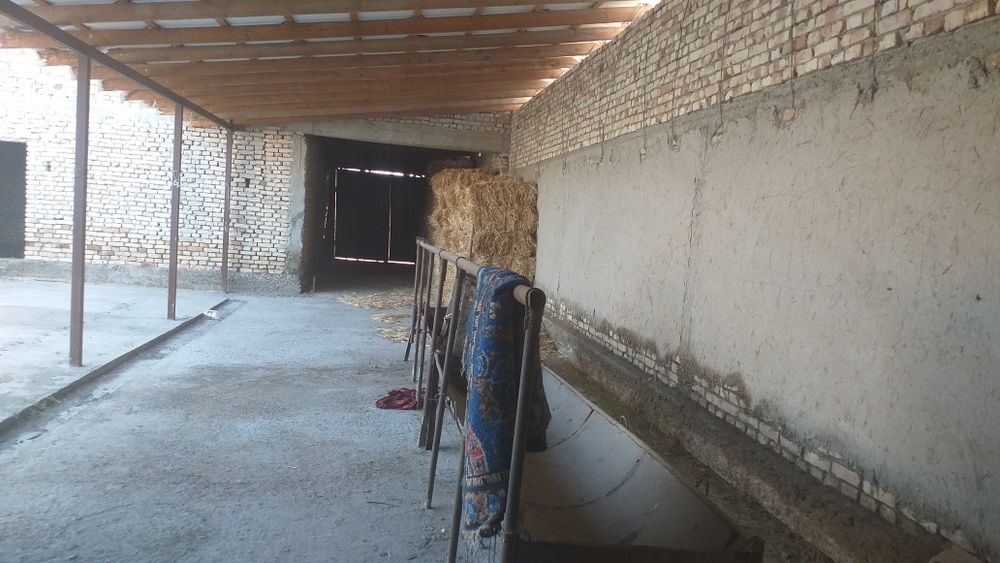 Galosiyoga rabotqozi qishloğida 8 sotixli uchastka sotiladi .