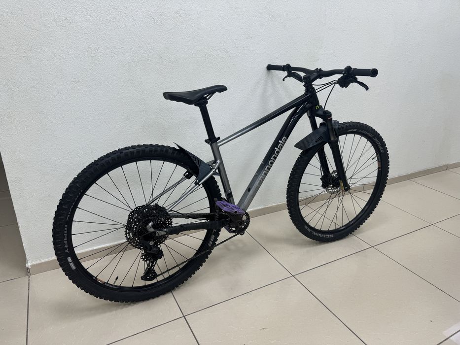 Cannondale Trail SL 4