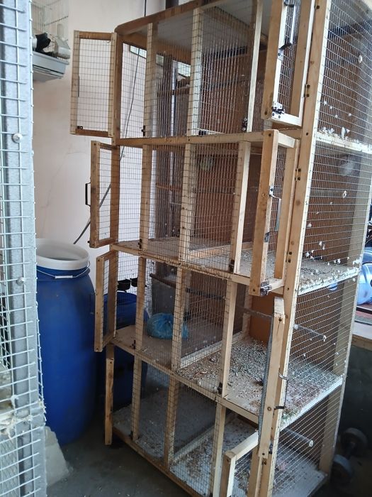 Валер кушлар учун