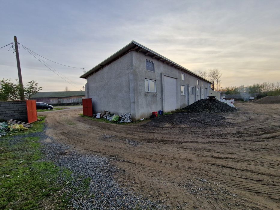 Vând Hala în Lovrin