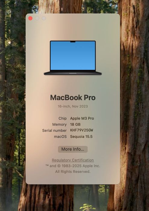 MacBook Pro 16 | M3 Pro | 18 GB | 1 Tb SSD | 19 Cicluri