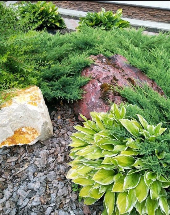 Газон озеленение