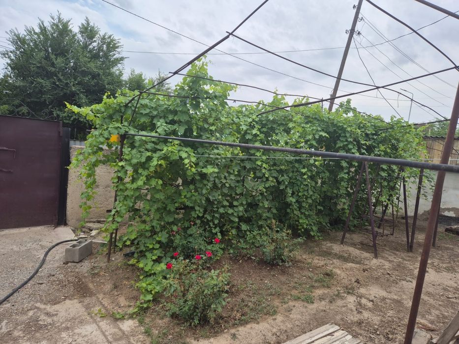 Продается дом с.Толе би