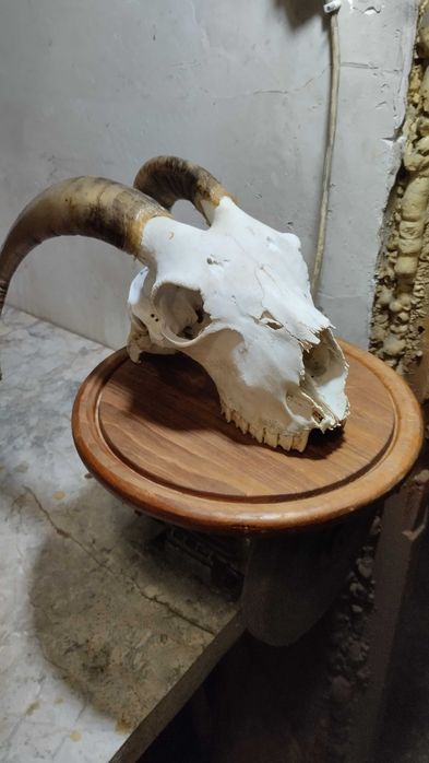 Декор, украса, сувенир