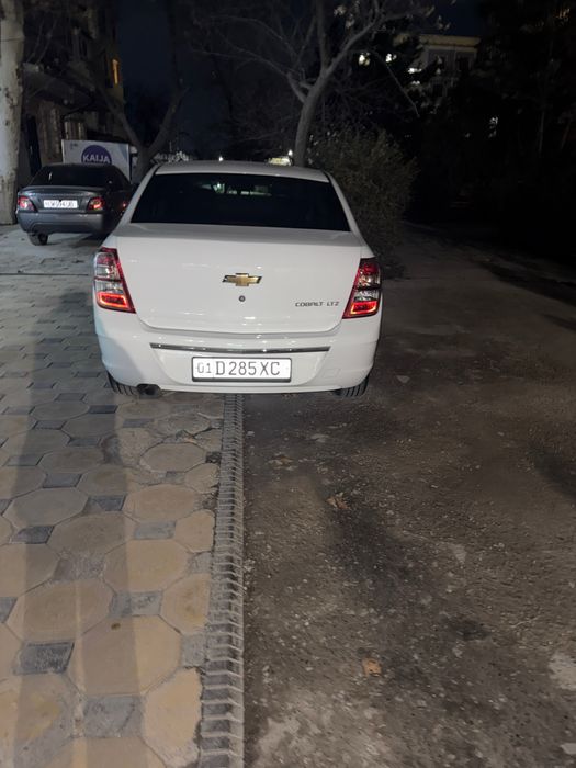 Cobalt 2025 kraska toza