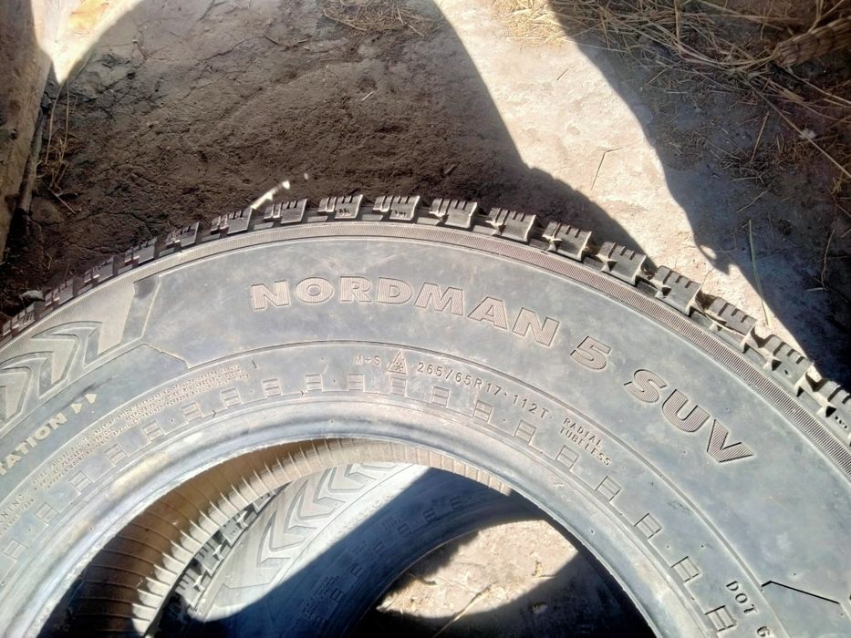 Резина нокиан шипованая.