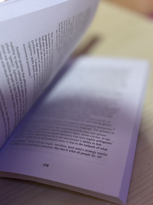 How language began book in english лингвистика