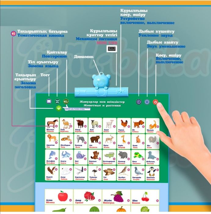 Bil-bala интерактивті дыбысты кітапшасы