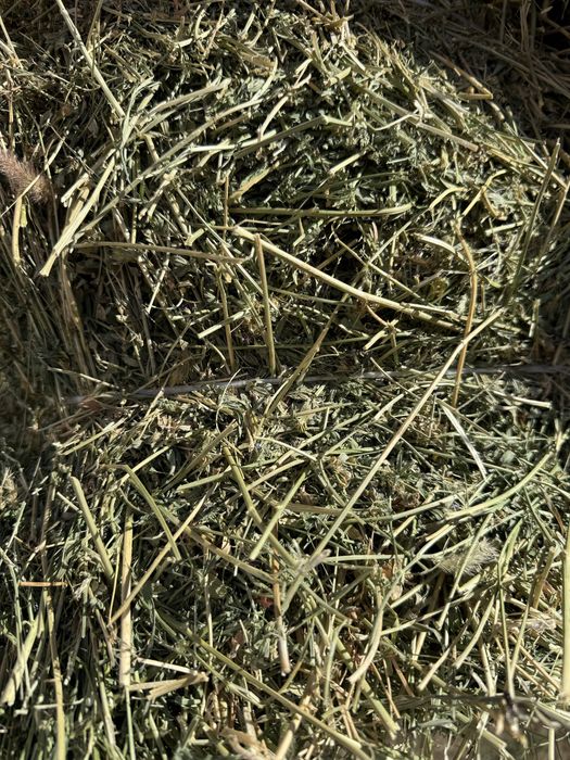 Сено разнотравия Люцерно