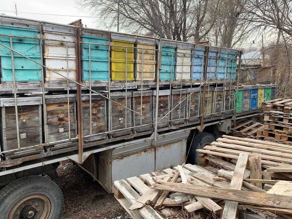 Продам пчёла прицеп