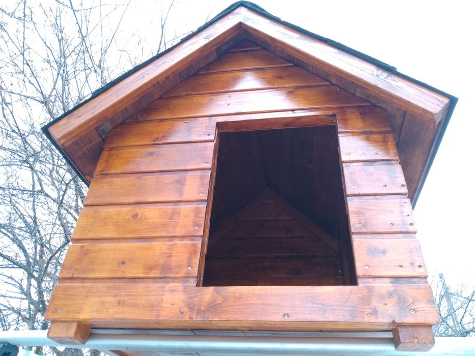 Cușca câine din lemn izolată