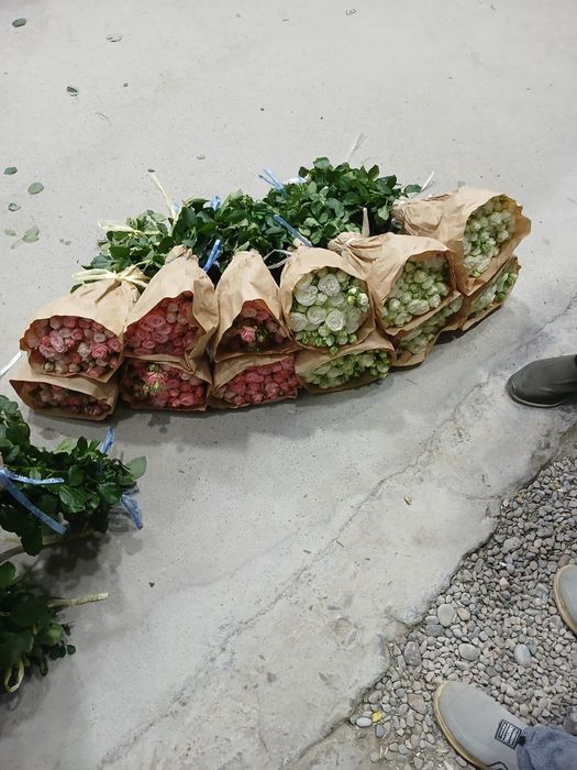 Тошкет туман саноат махалласи