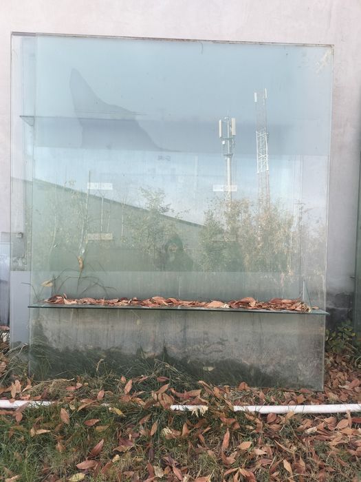 Oyna kalyoni kamplekt opisaniyani tōliq chunib ōqila iltimos