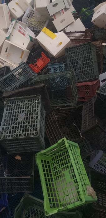 Plastik olamiz esti yashiklar