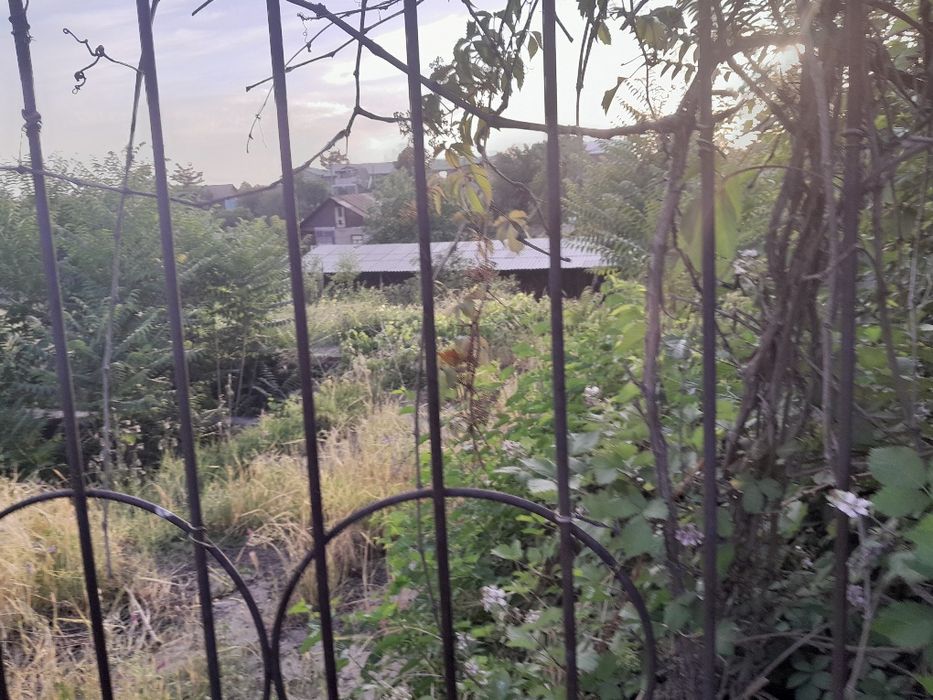 6сотх дача  Паркент