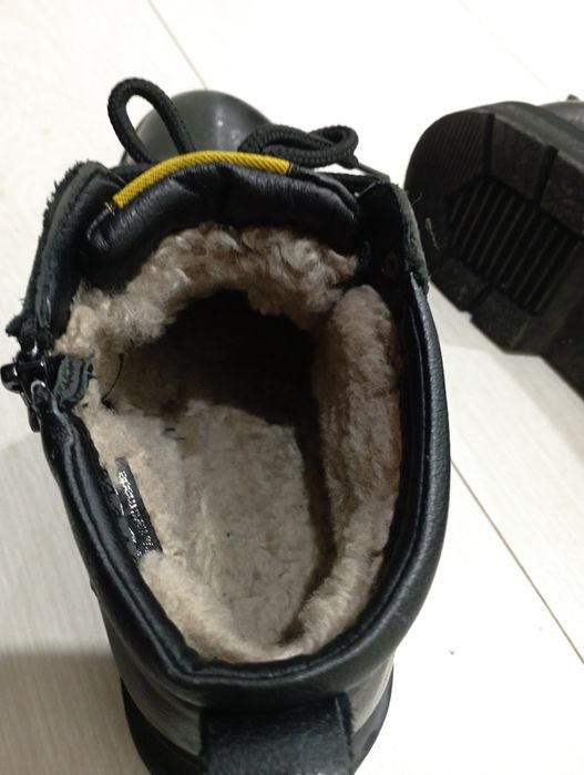 Продаю Кожаные собаки