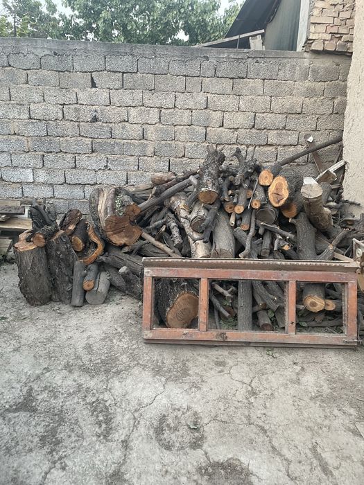 Утин куриган 70-100см