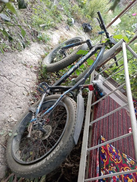 Shiroki balon velosiped