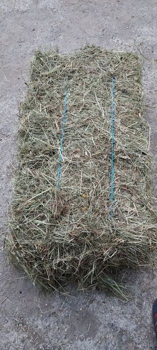 De vânzare baloți de fân, lucernă ! Se asigura transport!
