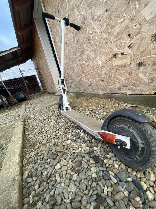 Myria Sky Rider Alba