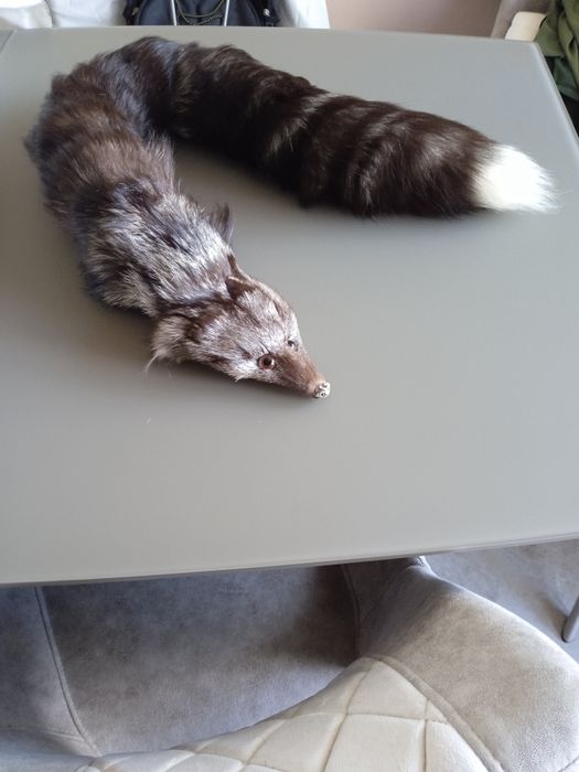 Лисича яка  с щипка за закопчаване