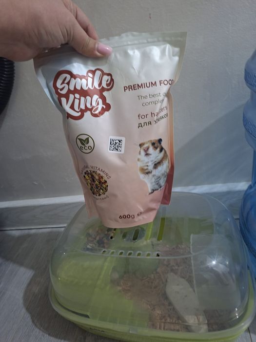 Хомяк джунгарский