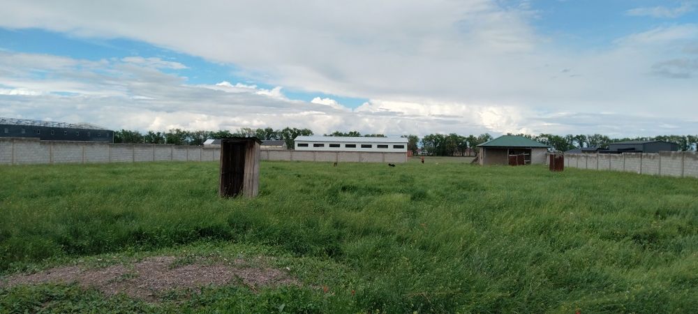 Продам коммерческие помещение 50 соток