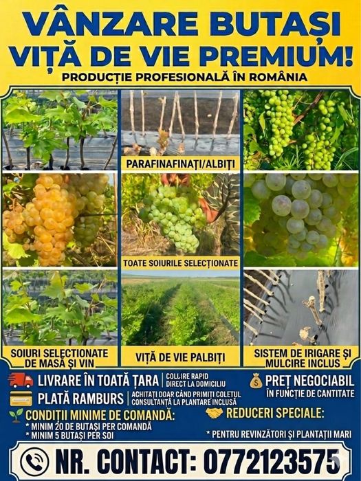 Butasi vita de vie