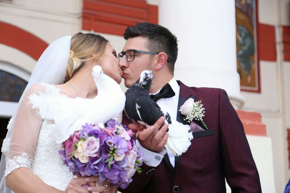 Porumbei albi pentru nuntă