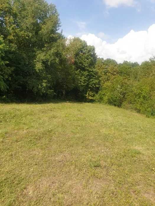 Vând teren intravilan la Seciu