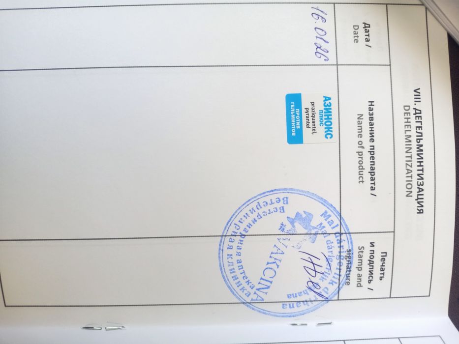 Йоркширский терьер