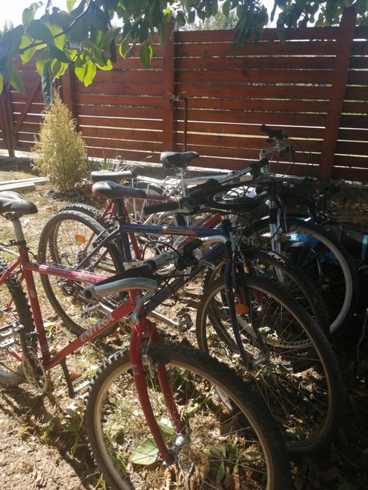 Biciclete de vanzare