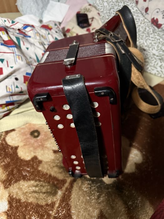 Acordeoane Hohner Student si Cantulia 32 basi