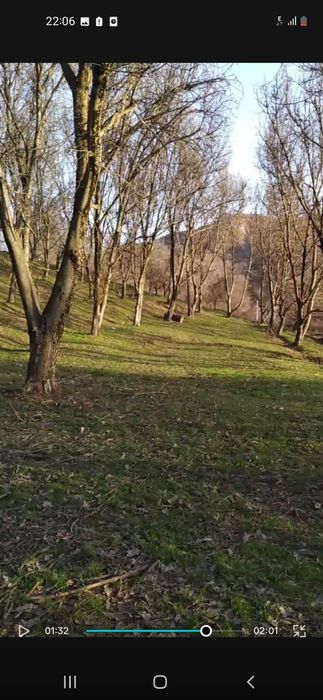 Бустонлиқ тумани Главасой