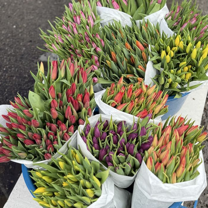 Тюльпаны букеты-розница