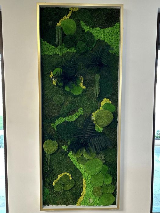 Tablouri cu licheni,muschi si plante stabilizate!