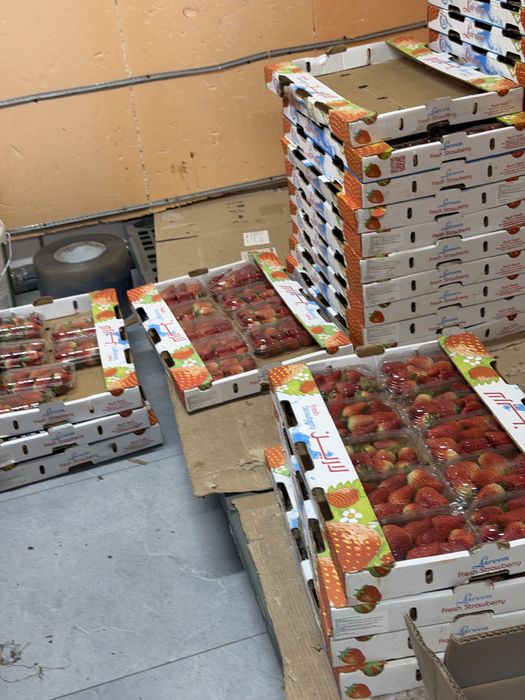 Клубника оптом египет