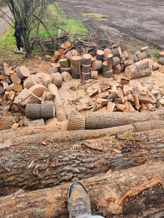 Lemne de foc stejar fag salcâm