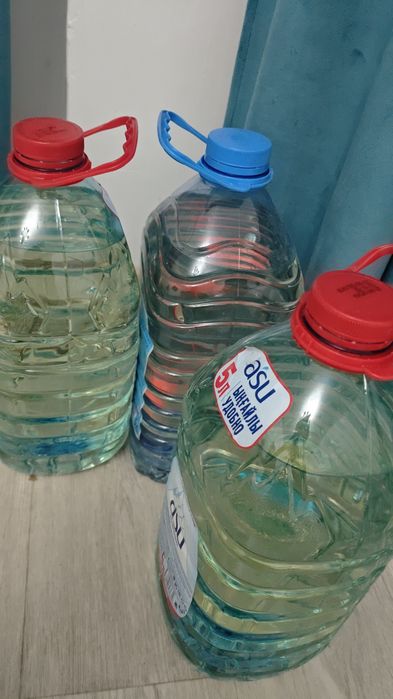 Пихта из ВКО(Шемонаихи) в Актобе