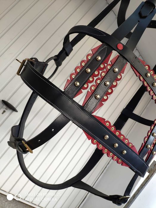 set-harnasamente PONEI/MAGAR | ham + set zurzuri (5 piese) ⟣GARANTIE ⁴⁸