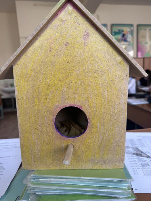 Құс ұяшығы жаңа қолданылмаған әдемі