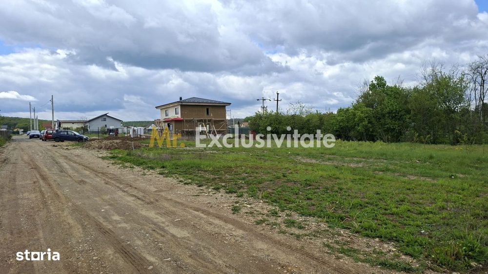 Teren 500 mp intravilan Smeura Stoenari - 4 loturi