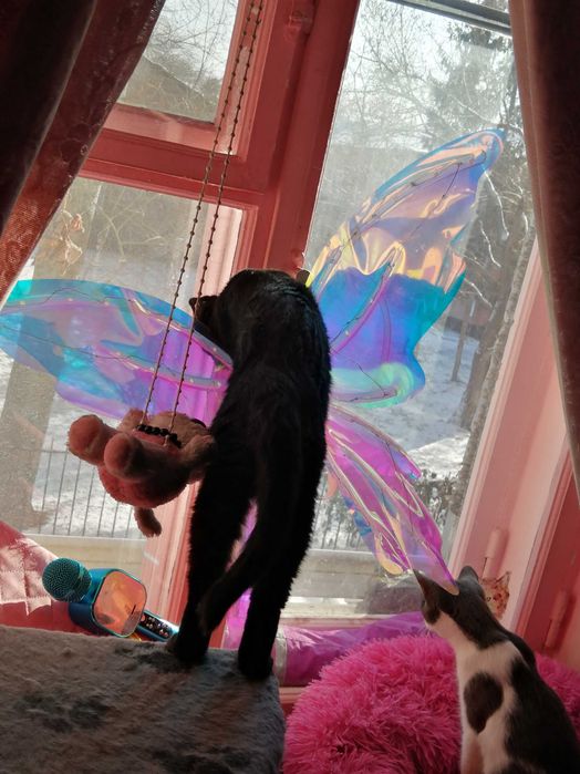 Когда Ночь Раскрывает Тайну (Мальчик 6 мес.)