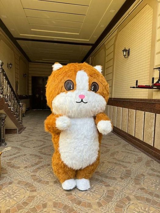 Оформленияга костюм