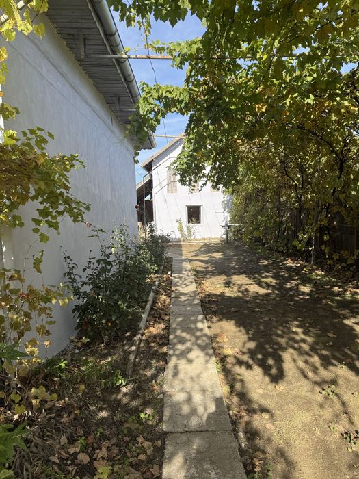 Vand doua case în aceeași curte în Dobrotești/DOLJ