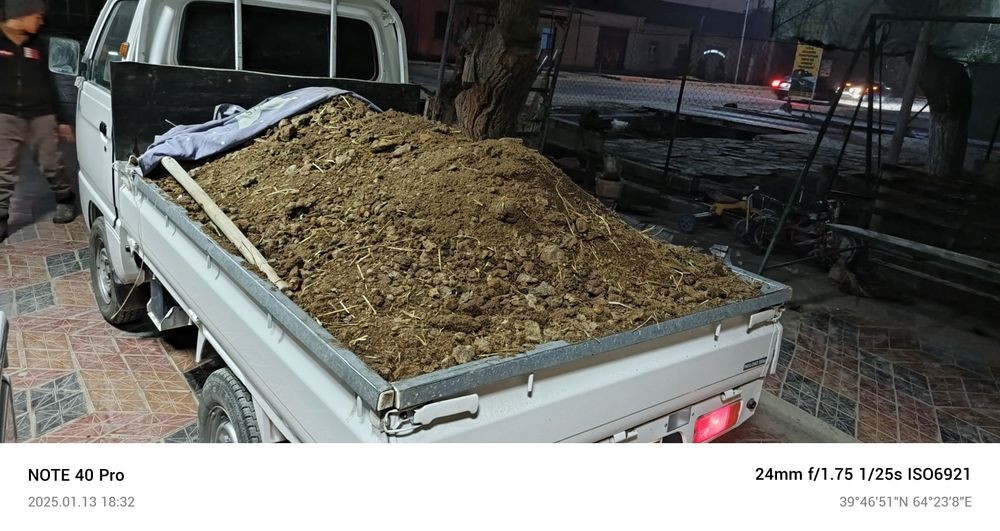 Мал Нури сотилади