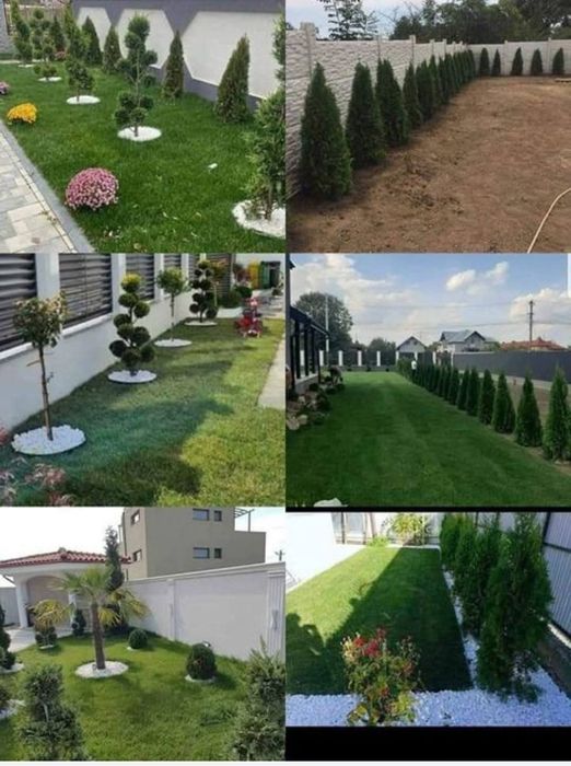 Gazon rulou Însămânțare Pregătirea terenului