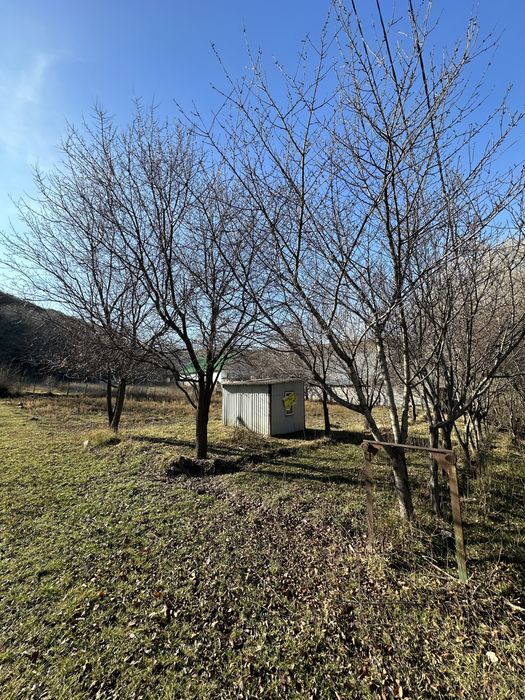 Продается участок в Шамалгане