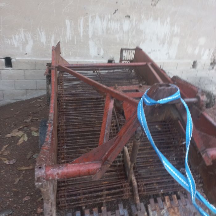 Kartoshka kólidigan sotiladi